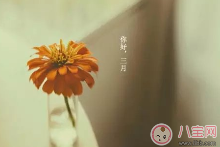 2018二月再見三月你好圖片 2月再見3月你好心情說說圖片