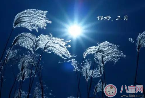 2018二月再見三月你好圖片 2月再見3月你好心情說說圖片