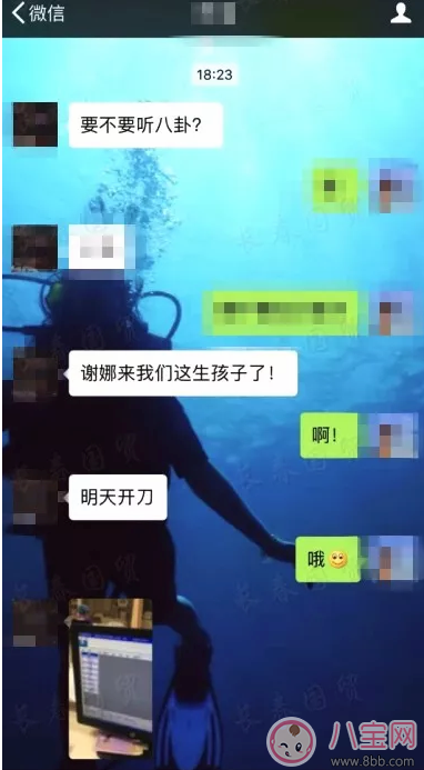 謝娜在哪里剖腹產的 謝娜生的是雙胞胎女兒嗎 謝娜在哪里剖腹產的 謝娜生的是雙胞胎女兒嗎
