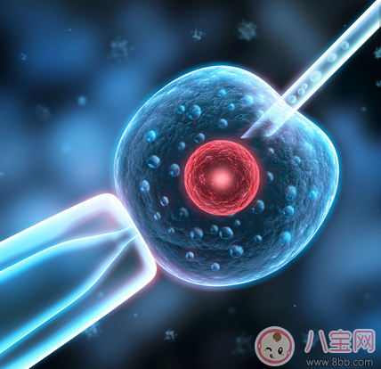 試管嬰兒的孩子怎么樣 試管嬰兒的費用是多少