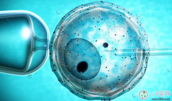 試管嬰兒的孩子怎么樣 試管嬰兒的費用是多少