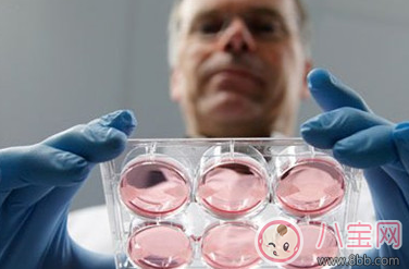 試管嬰兒的孩子怎么樣 試管嬰兒的費用是多少