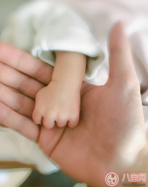 任嘉倫老婆是誰任嘉倫老婆個人資料 任嘉倫什么時候結婚的