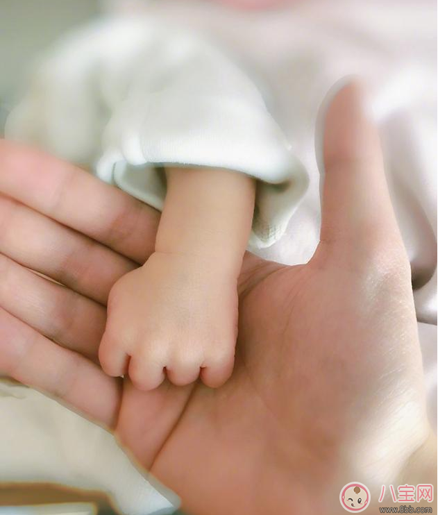 任嘉倫兒子照片 任嘉倫兒子什么時候出生的 任嘉倫兒子照片 任嘉倫兒子什么時候出生的