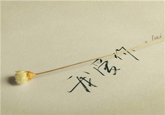 情人節(jié)怎樣秀恩愛 情人節(jié)秀恩愛的說說朋友圈