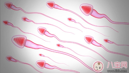 男人精液越來(lái)越少是怎么回事 男科精液檢查什么情況才正常 男人精液越來(lái)越少是怎么回事 男科精液檢查什么情況才正常