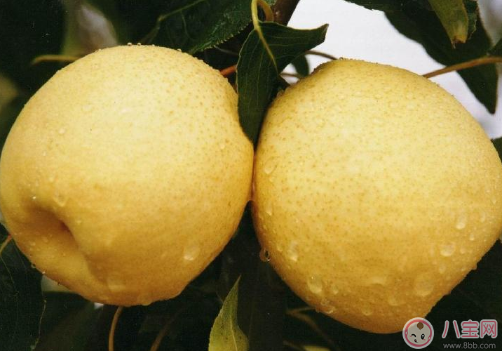 多汗癥可以吃哪些食物 多汗癥的食療方法