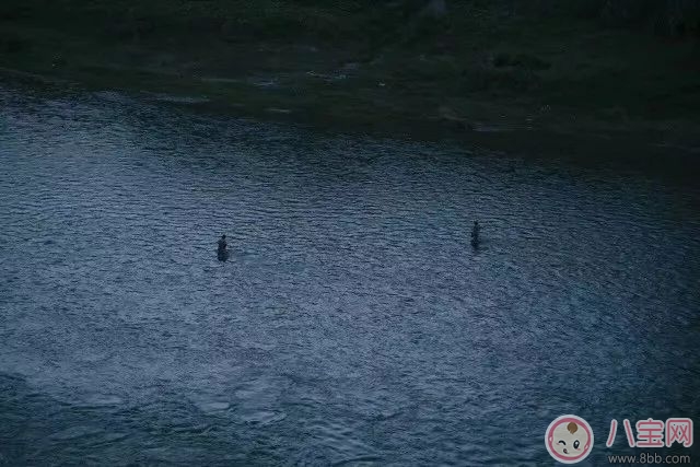 2018春節為什么不想回家 現在為什么一點都不期待過年了 2018春節為什么不想回家 現在為什么一點都不期待過年了