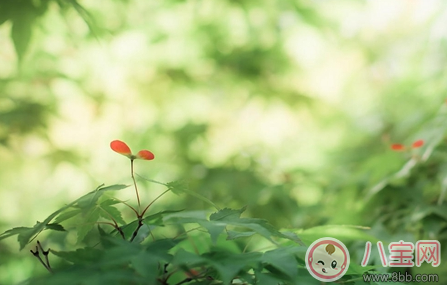 簡單的結婚祝福語2018 祝福新人結婚比較文藝的話