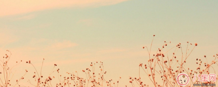 簡單的結婚祝福語2018 祝福新人結婚比較文藝的話