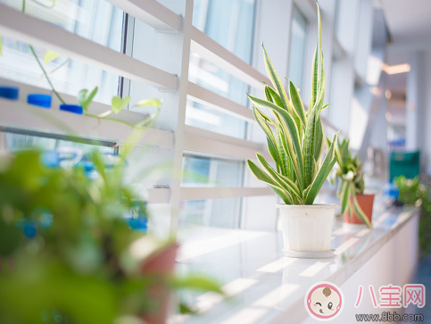 結婚紀念日怎樣發朋友圈 結婚紀念日唯美句子 結婚紀念日怎樣發朋友圈 結婚紀念日唯美句子