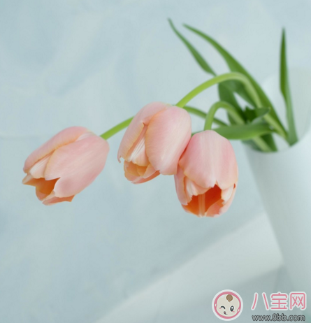 全職媽媽即將上班的心情說說 全職媽媽上班后的心情感受 全職媽媽即將上班的心情說說 全職媽媽上班后的心情感受