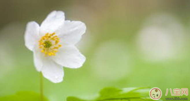 全職媽媽即將上班的心情說說 全職媽媽上班后的心情感受 全職媽媽即將上班的心情說說 全職媽媽上班后的心情感受