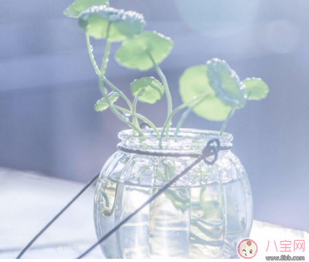 全職媽媽即將上班的心情說說 全職媽媽上班后的心情感受 全職媽媽即將上班的心情說說 全職媽媽上班后的心情感受