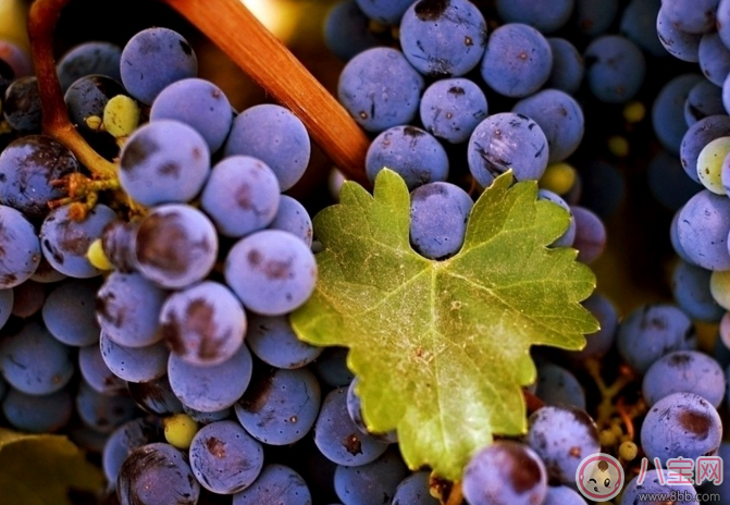 孩子咳嗽能吃橘子嗎 孩子咳嗽不能吃哪些水果