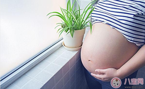 備孕期間抽煙喝酒千萬不要做 備孕期間做好飲食安排才能懷孕