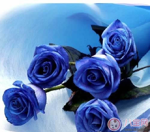 2018情人節怎樣給男朋友挑禮物 情人節受到過最有創意的禮物是什么