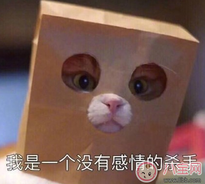 快回家了睡不著的心情說說 想睡又睡不著的心情句子圖片