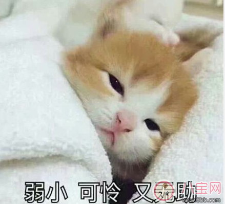 朋友都結(jié)婚了的心情感慨 身邊朋友結(jié)婚了說說句子