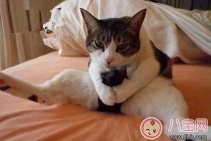 感覺做愛和打飛機差別太大了怎么辦 感覺打飛機比做愛還要舒服是不是不正常 感覺做愛和打飛機差別太大了怎么辦 感覺打飛機比做愛還要舒服是不是不正常