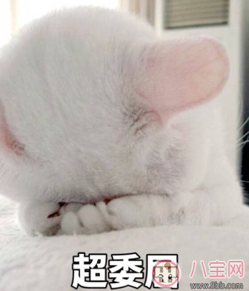 過年沒有年味的說說圖片 過年沒意思的心情感慨 過年沒有年味的說說圖片 過年沒意思的心情感慨