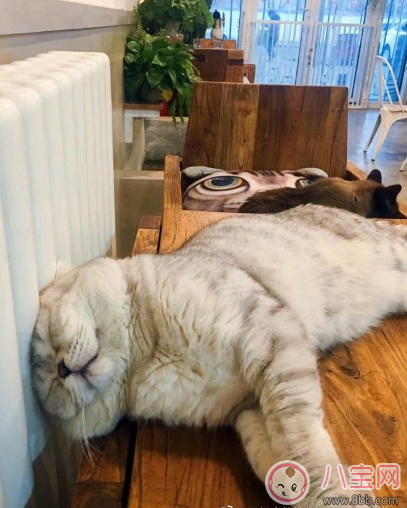 過年沒有年味的說說圖片 過年沒意思的心情感慨 過年沒有年味的說說圖片 過年沒意思的心情感慨