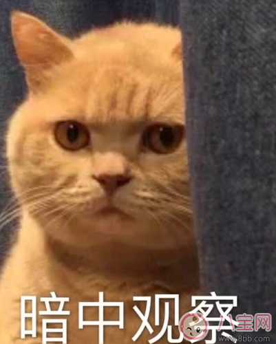 情人節(jié)發(fā)紅包多少合適 情人節(jié)給女朋友發(fā)多少紅包好 情人節(jié)發(fā)紅包多少合適 情人節(jié)給女朋友發(fā)多少紅包好