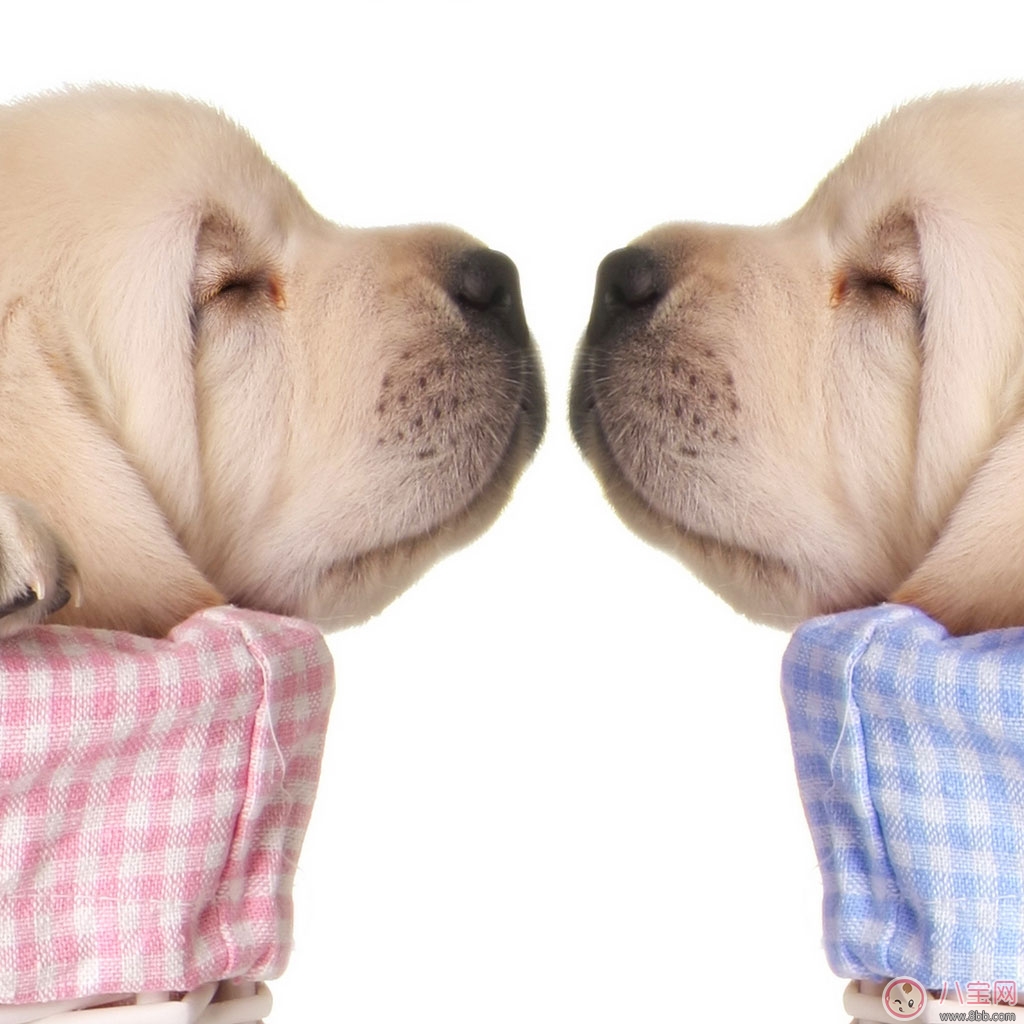 第一次親嘴是什么感覺 為什么親嘴的時候女人總是會閉著眼