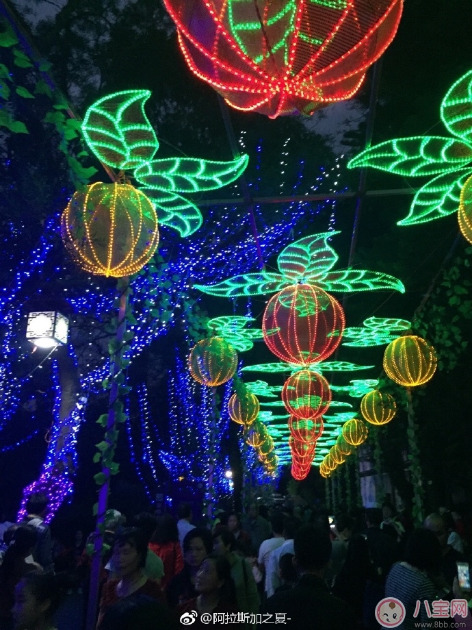 元宵節看花燈圖片 2018元宵節看燈花說說朋友圈 元宵節看花燈圖片 2018元宵節看燈花說說朋友圈