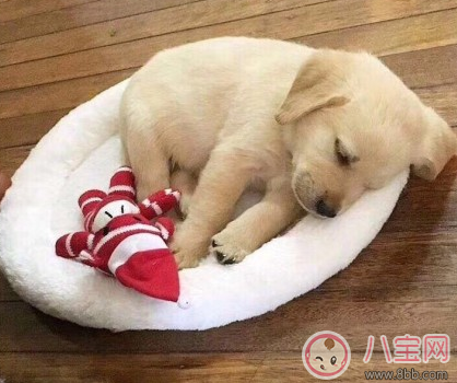 在外地特別想家的說說句子 2018突然想家了的心情說說 在外地特別想家的說說句子 2018突然想家了的心情說說