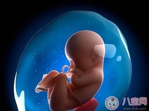 懷孕時羊水變少是什么原因 羊水變少對孩子有什么影響