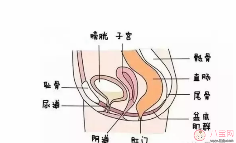 產后三個月漏尿需要治療嗎 如何進行盆底肌肉的康復訓練