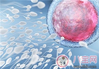 如何在排卵期快速懷孕 排卵期第一天容易受孕嗎