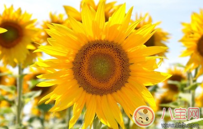 3月你好2月再見早安心語 2月再見3月你好的心情說說圖片 3月你好2月再見早安心語 2月再見3月你好的心情說說圖片