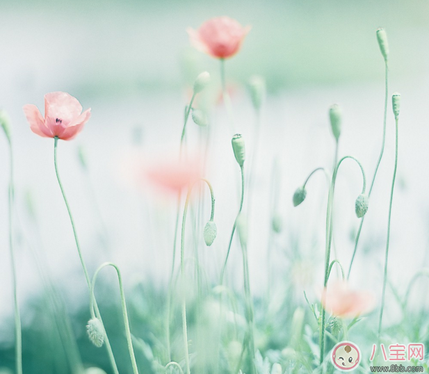 3月你好2月再見早安心語 2月再見3月你好的心情說說圖片 3月你好2月再見早安心語 2月再見3月你好的心情說說圖片