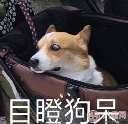 開學第一天說說 2018開學第一天說說心情