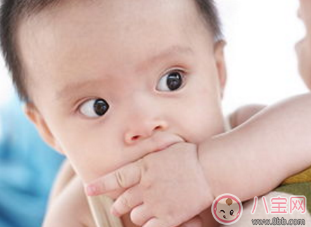 寶寶愛吃手要不要制止 戒掉寶寶吃手小妙招