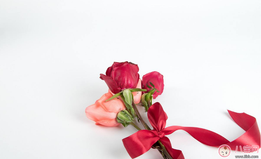 2018三八婦女節短信祝福語 三八婦女節發祝福短信句子 