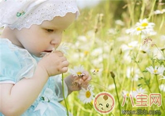 如何培養寶寶的感官能力 怎樣可以開發孩子的感官系統 如何培養寶寶的感官能力 怎樣可以開發孩子的感官系統