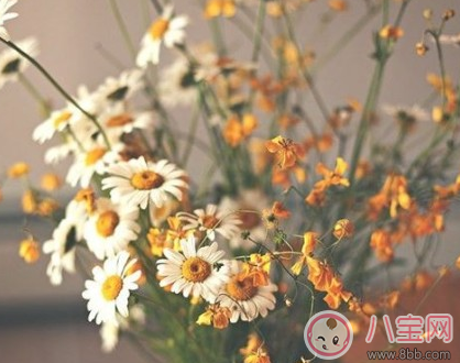 3月你好2月再見的心情圖片 3月早安2月再見的句子說說