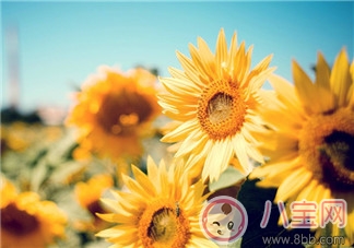 你好三月帶圖配字心情句子 2018期待三月帶圖短語感慨 你好三月帶圖配字心情句子 2018期待三月帶圖短語感慨