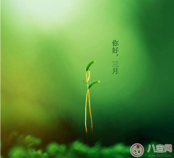 你好三月帶圖配字心情句子 2018期待三月帶圖短語感慨 你好三月帶圖配字心情句子 2018期待三月帶圖短語感慨