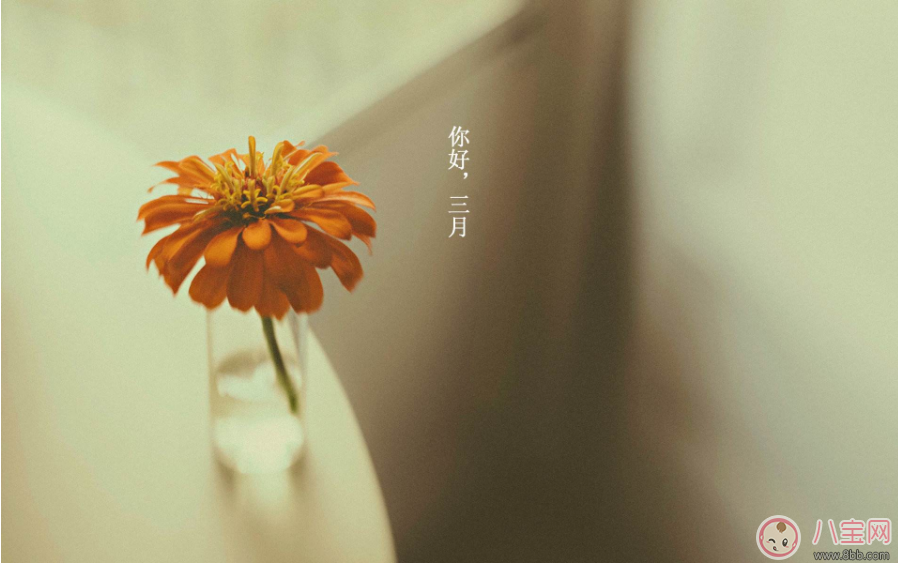 你好三月帶圖配字心情句子 2018期待三月帶圖短語感慨 你好三月帶圖配字心情句子 2018期待三月帶圖短語感慨