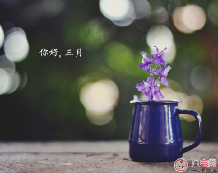 2月走了迎接3月的句子 迎接3月的帶圖心情說說 2月走了迎接3月的句子 迎接3月的帶圖心情說說