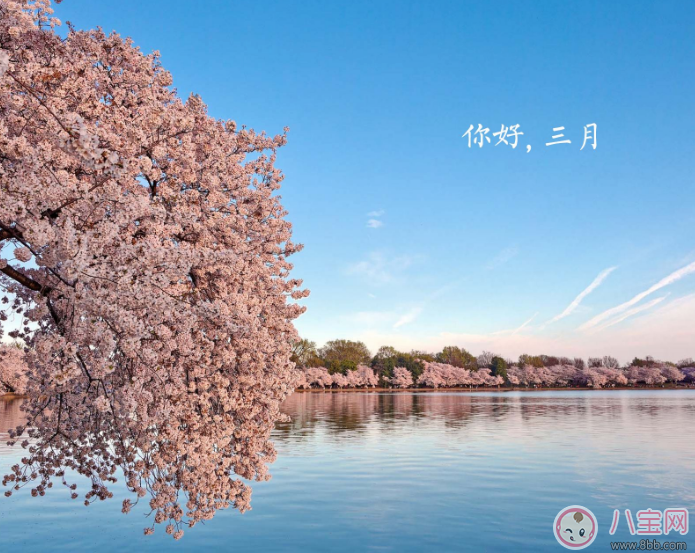 2月走了迎接3月的句子 迎接3月的帶圖心情說說 2月走了迎接3月的句子 迎接3月的帶圖心情說說