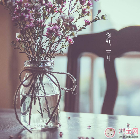 2月走了迎接3月的句子 迎接3月的帶圖心情說說 2月走了迎接3月的句子 迎接3月的帶圖心情說說