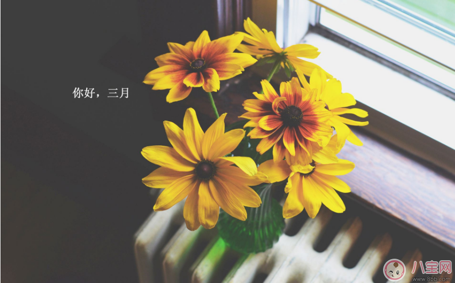 2月走了迎接3月的句子 迎接3月的帶圖心情說說 2月走了迎接3月的句子 迎接3月的帶圖心情說說