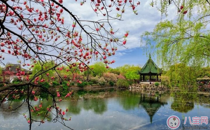 關于春天來了的說說 2018關于春天的心情短語