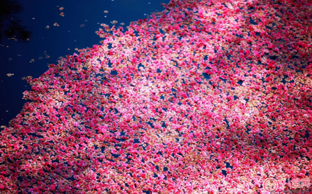 關(guān)于期待春天的句子 期待春天的到來的心情說說朋友圈