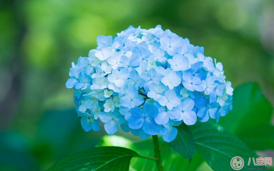 關(guān)于期待春天的句子 期待春天的到來的心情說說朋友圈